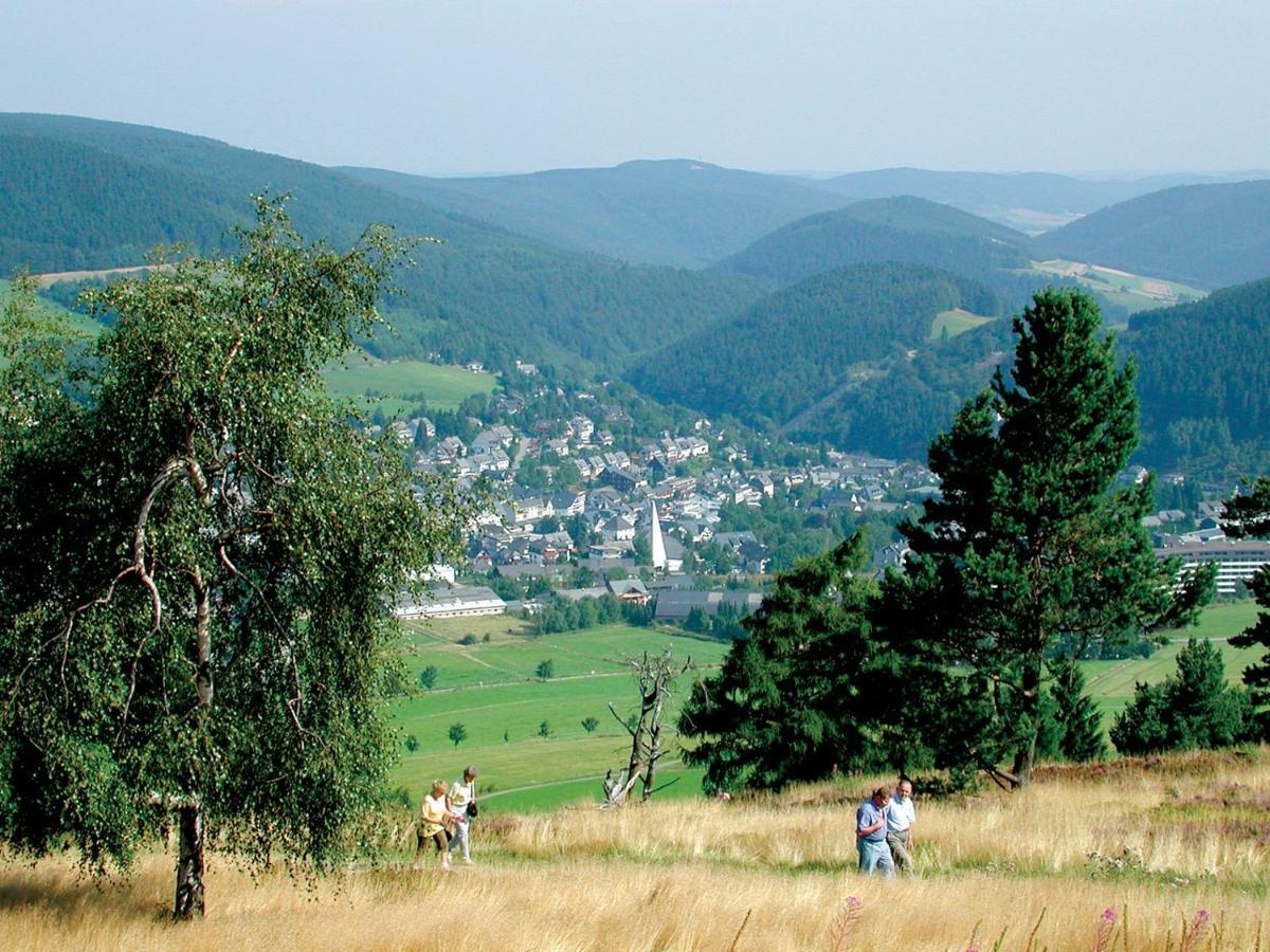 Appartement Gaensebluemchen Willingen  Kültér fotó